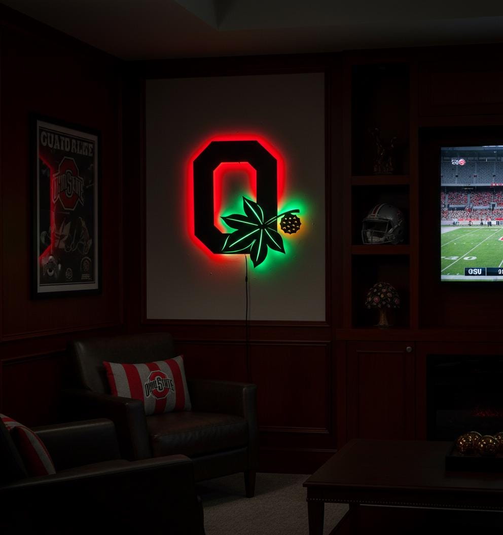 Ohio State Wall Art - Buckeyes Team Logo Illuminated Game Room Decor