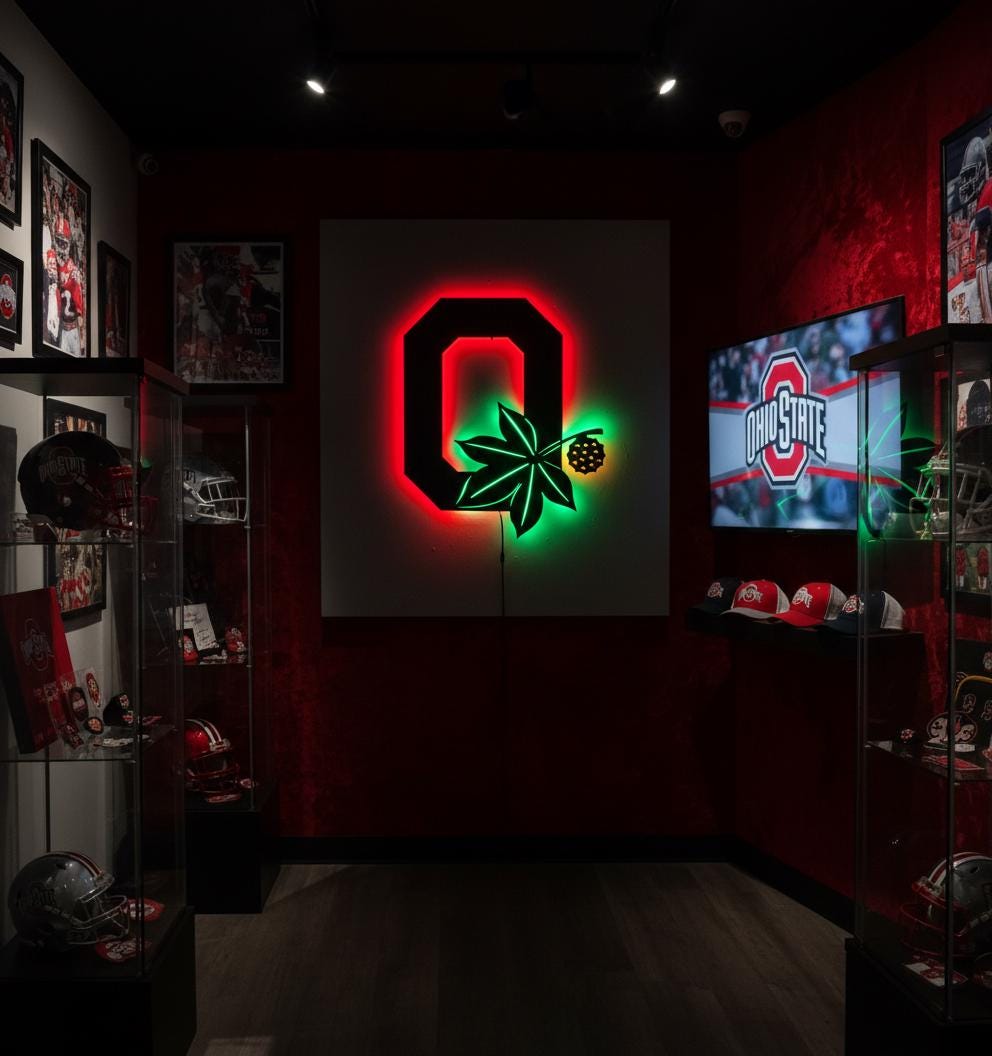 Ohio State Wall Art - Buckeyes Team Logo Illuminated Game Room Decor