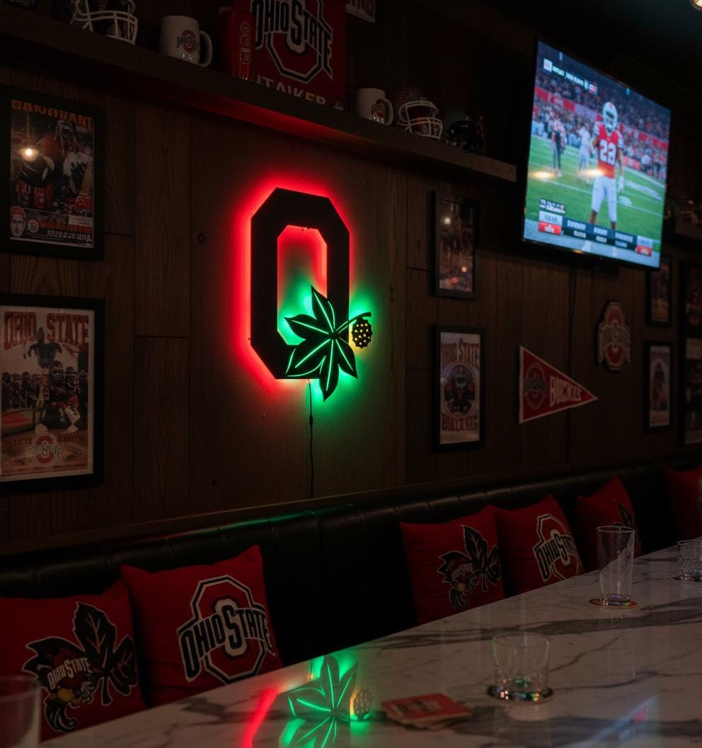 Ohio State Wall Art - Buckeyes Team Logo Illuminated Game Room Decor