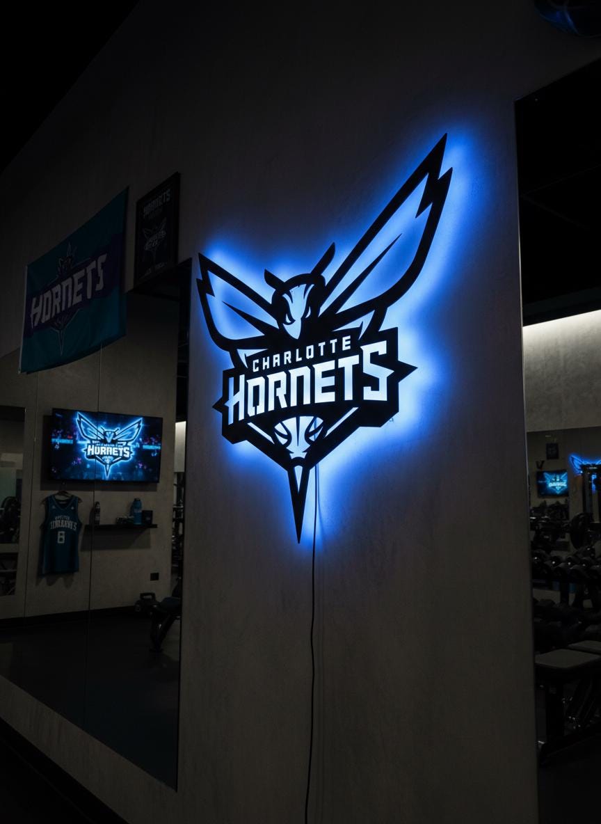 Charlotte Hornets Wall Art - Unique NBA Basketball Team Logo Game Room Decor