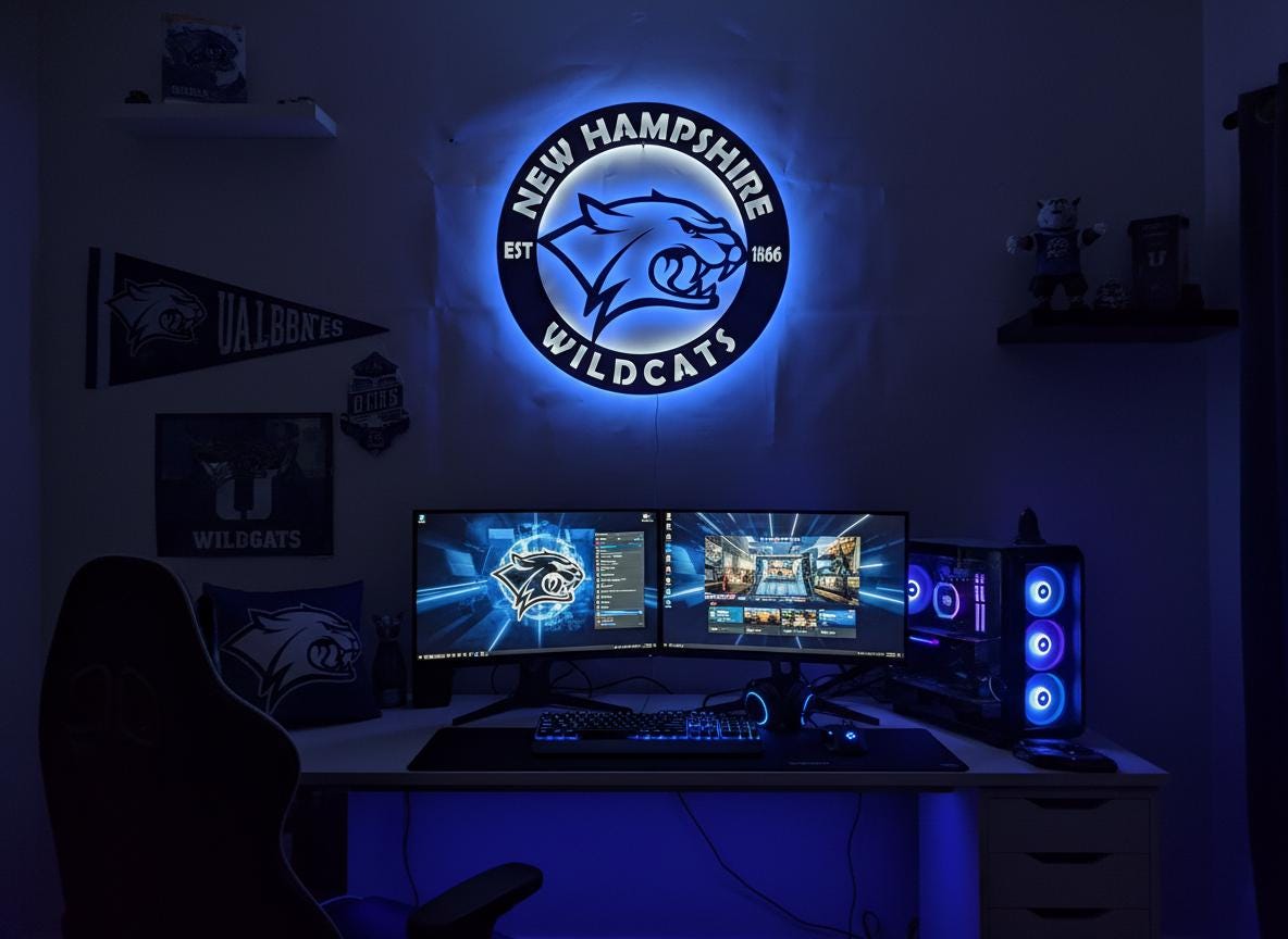 New Hampshire Wildcats Wall Art - NCAA College Game Room Decor Gift